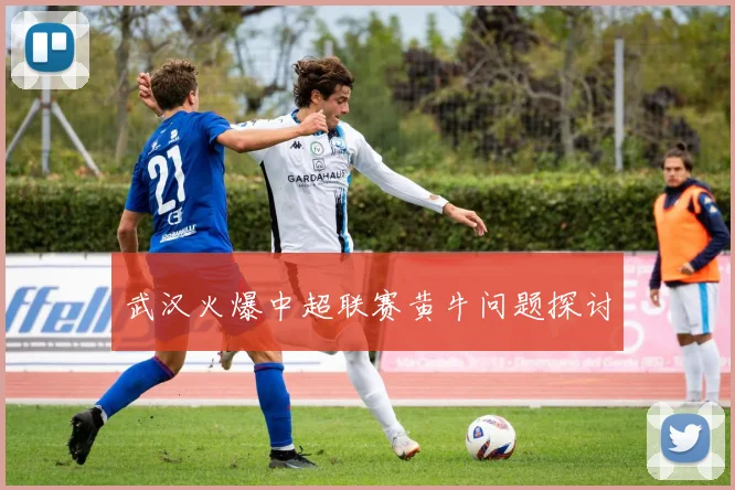 武汉火爆中超联赛黄牛问题探讨